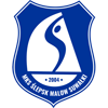 Home team's logo